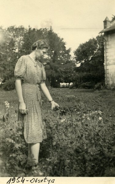 KKE 4939.jpg - Fot. W ogrodzie. Jadwiga Strumiłło, Olsztyn, 1954 r.